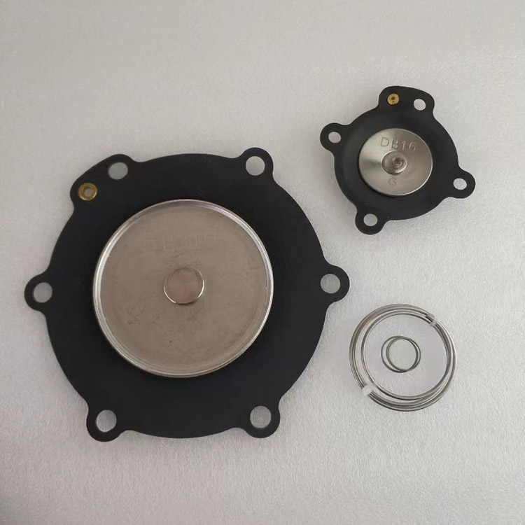 DB116 Nitrile Diaphragm Repair Kit untuk VNP216