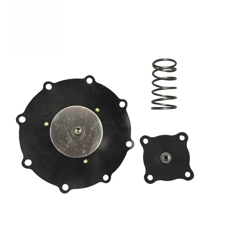 Kit Perbaikan Diafragma untuk 3 inci Katup Solenoid Sudut Kanan
